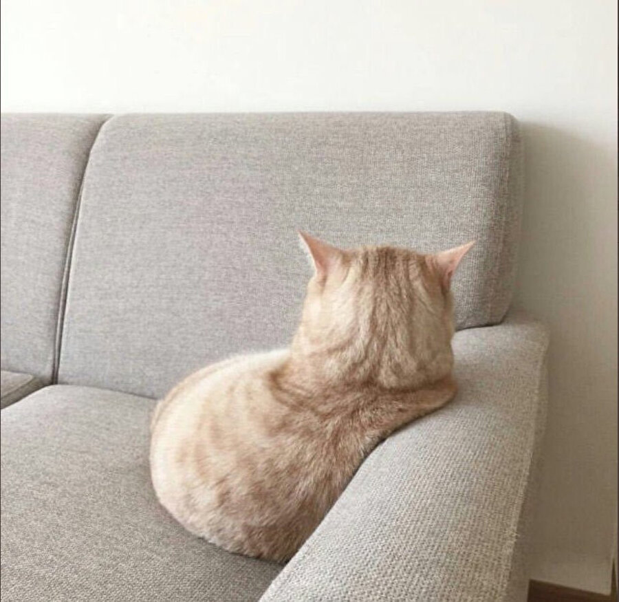 Uyanmak zorunda değilim