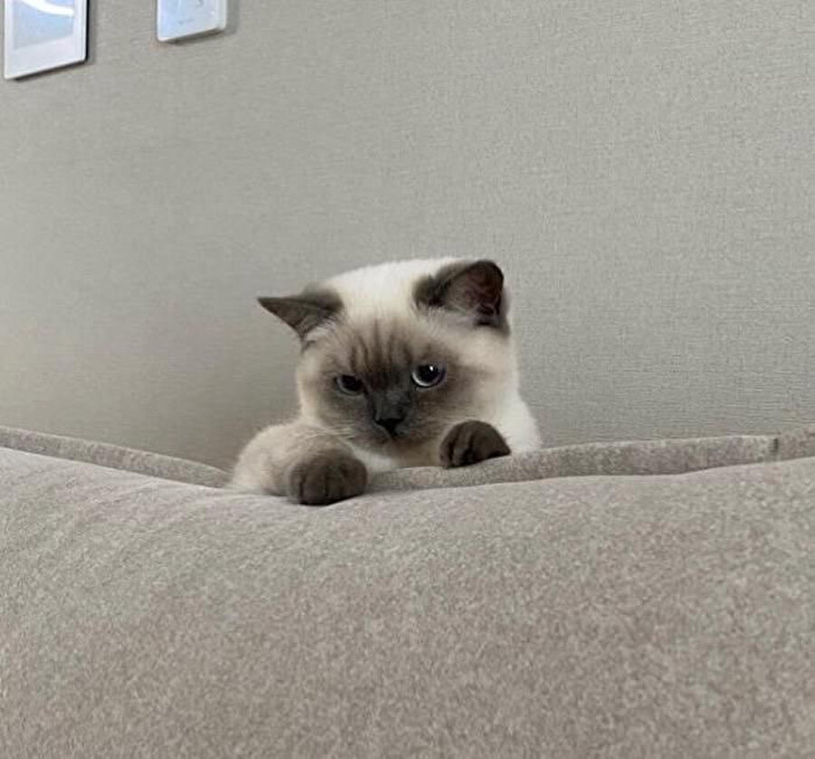 ​Benim haricimde herkese hediye geldi