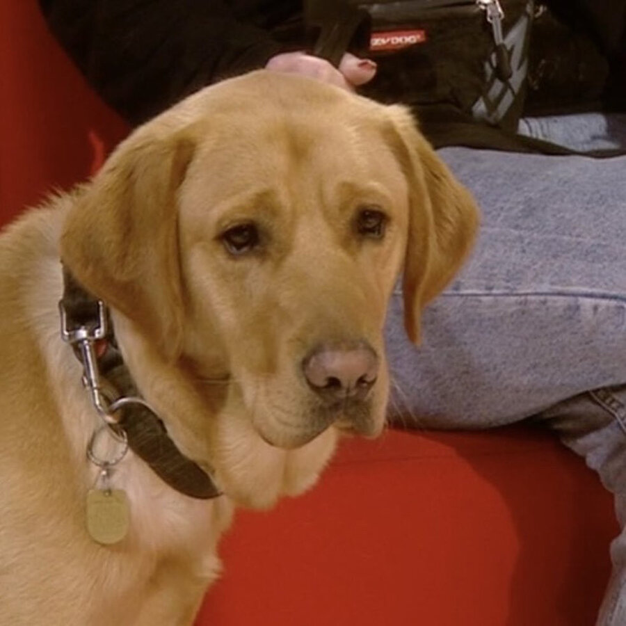 Otobüste boş yer bulamadım