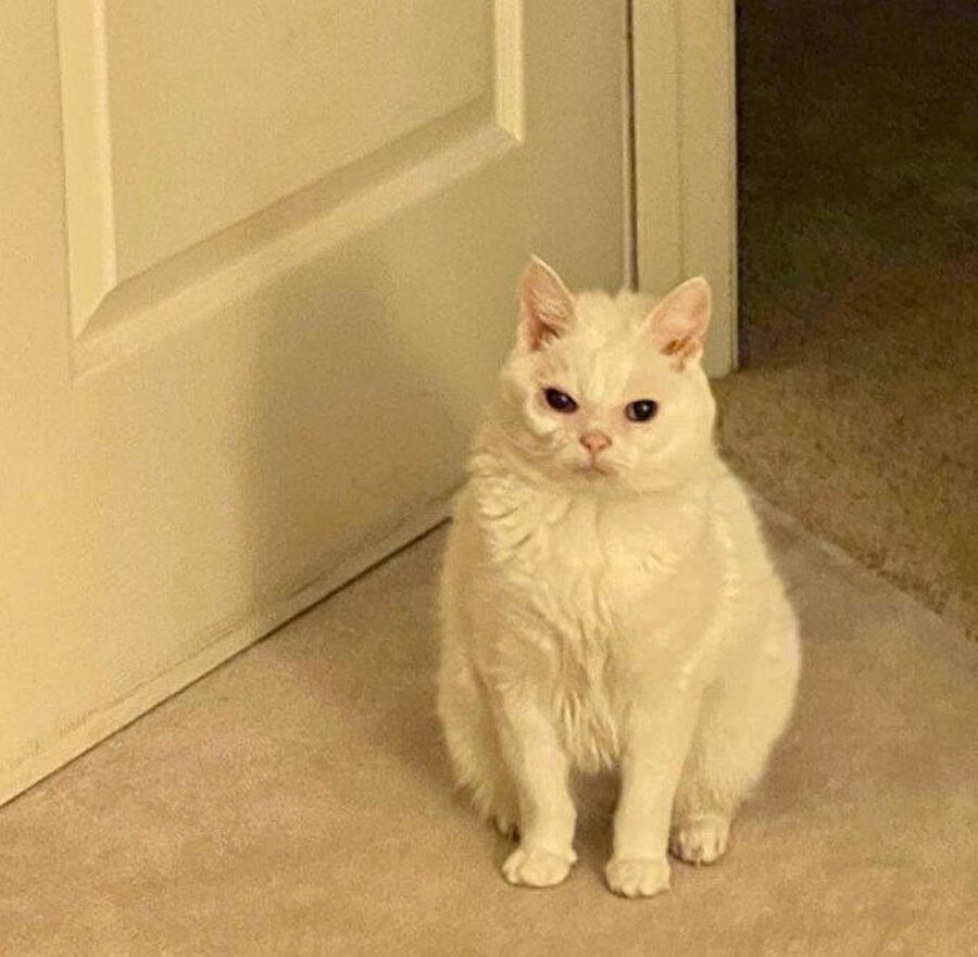 -Ağladın mı sen? 
+Ne zaman?