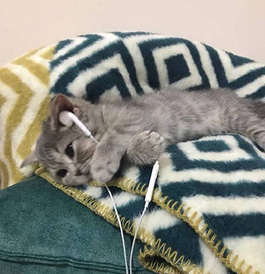 Gitmeğ buradan sen olmadan ben asla yaşayamam