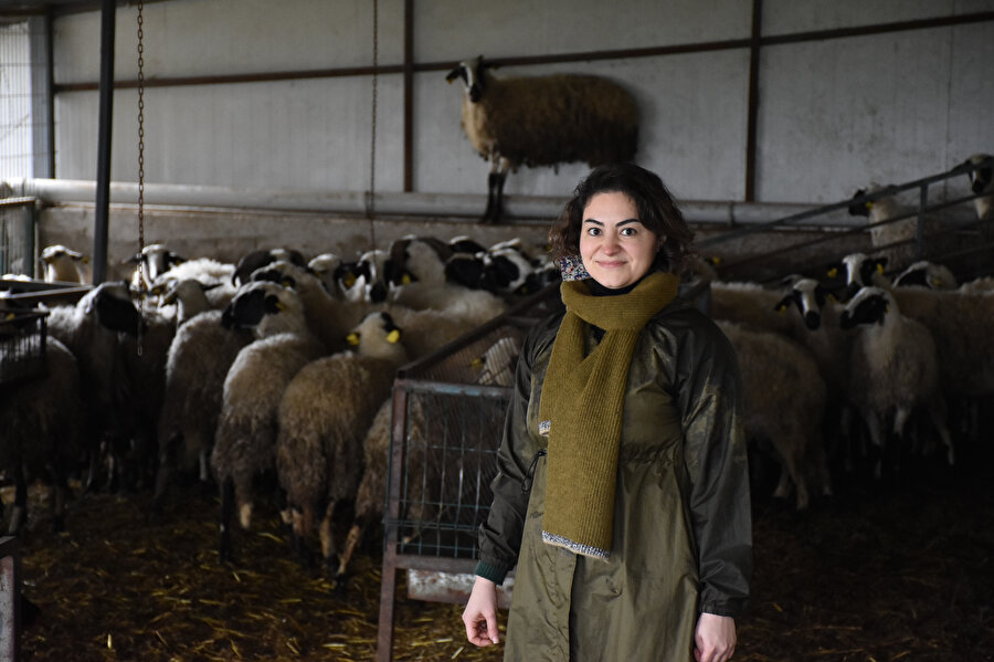 Japonya'daki akademik kariyerini bıraktı: Ailesinin çiftliğini ekoturizme kazandırdı