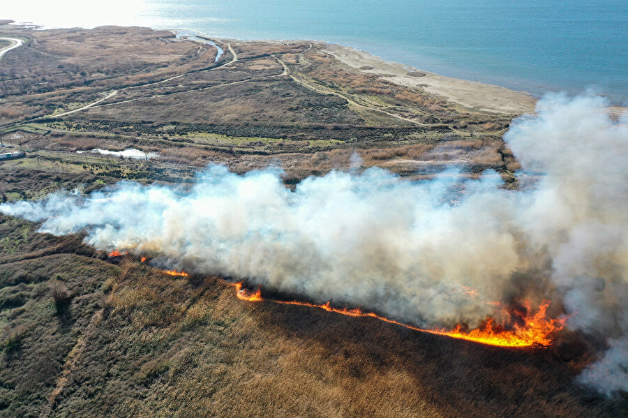 Bursa'da sazlık alanda yangın