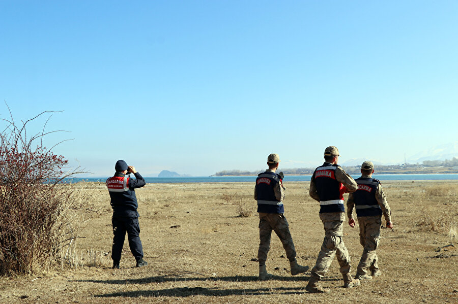 Jandarma bu sefer 'kuğu' nöbetinde: Nesilleri tehlike altında