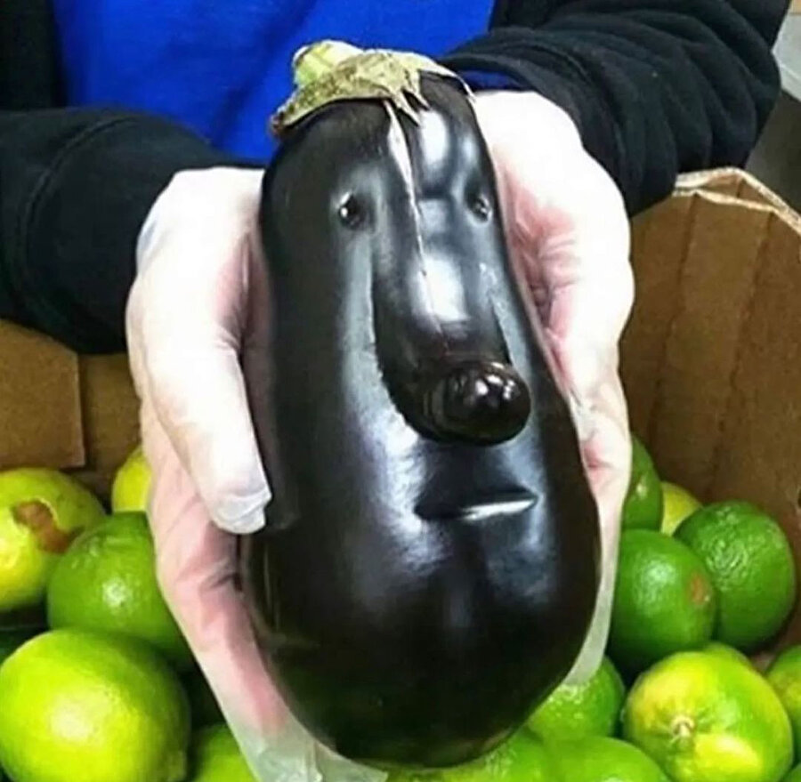 Az ye be oğlum patlıcan