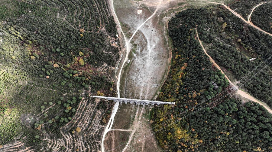 Arşiv