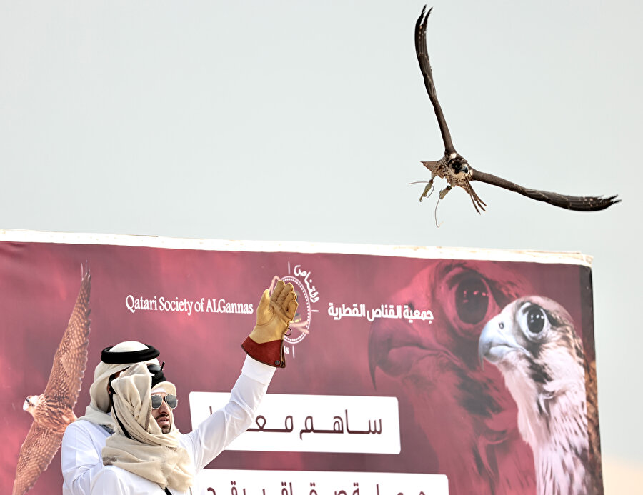 Şahinler, Katar'da hünerlerini sergiliyor