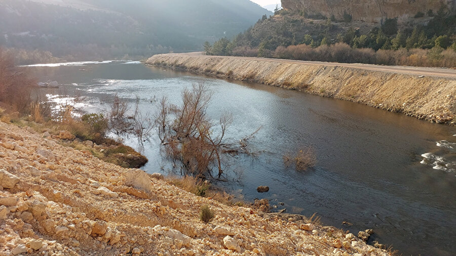 Göksu Nehri'nin rengi yine siyaha döndü: Kötü kokudan durulmuyor