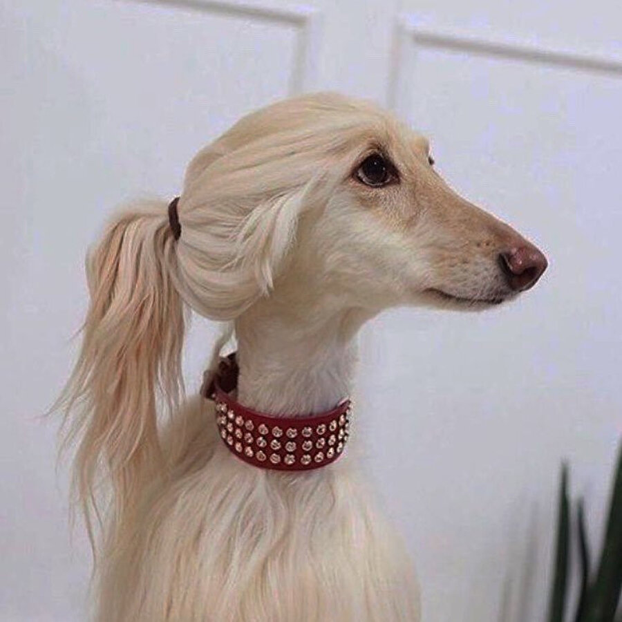 Çayıma şeker atmak zorunda değilim