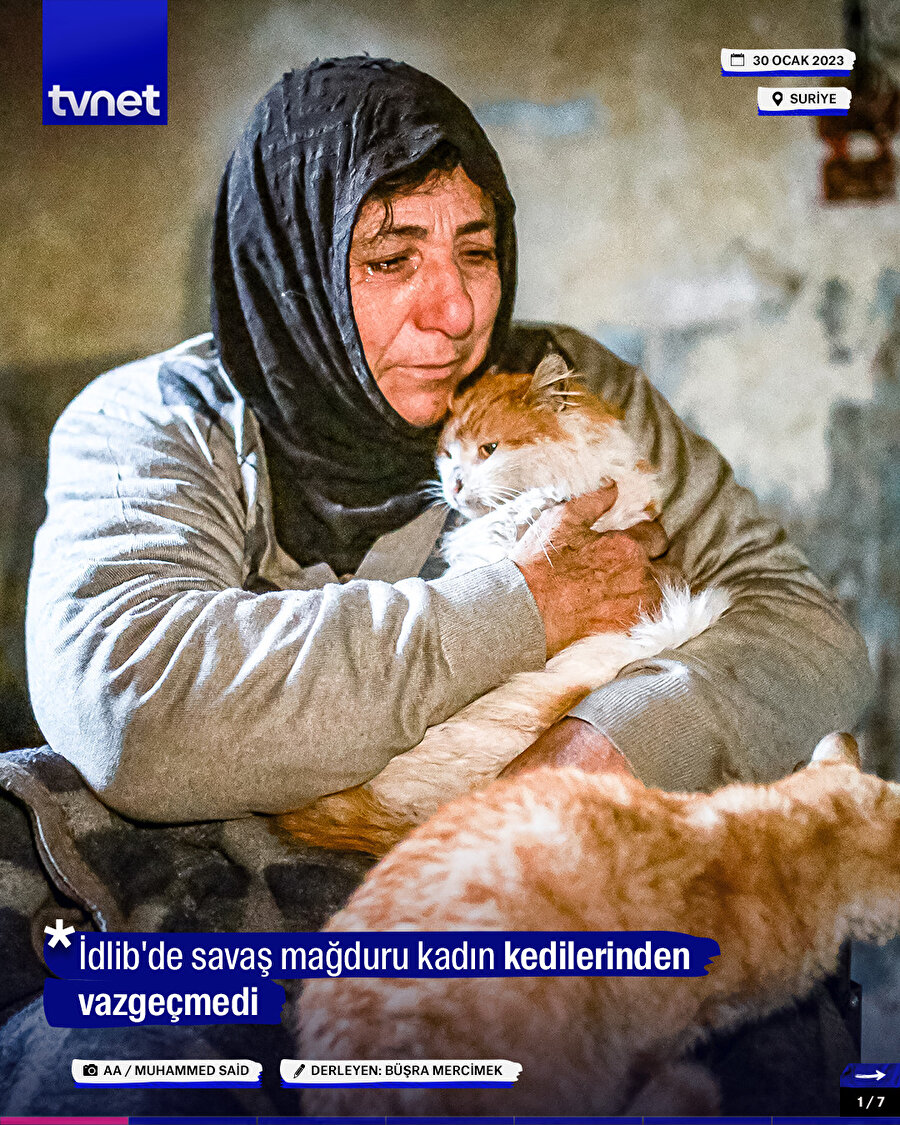 İdlib'de savaş mağduru kadın kedilerinden vazgeçmedi