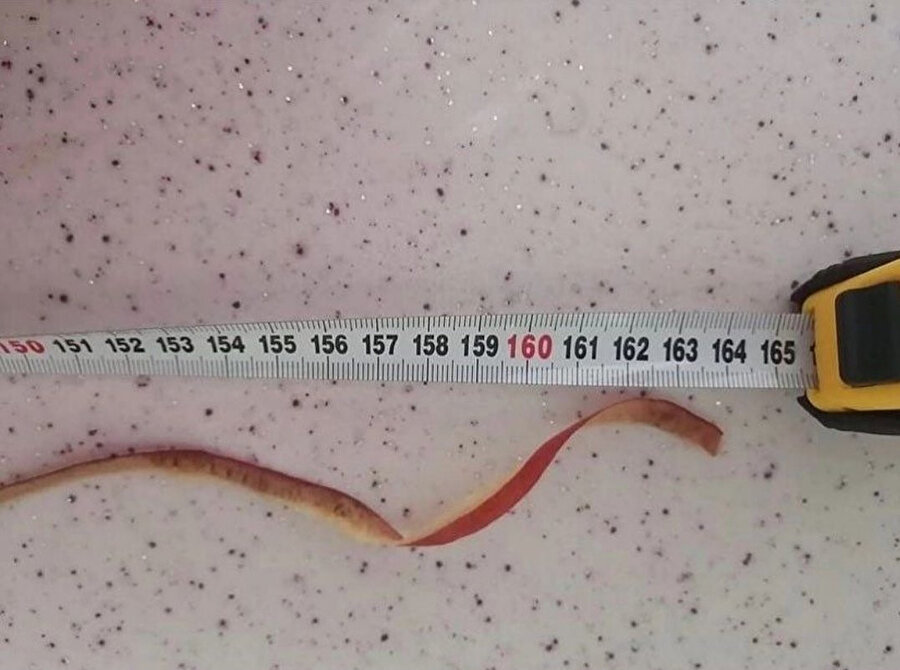 Elma kabuğunu koparmadan soyduk 🤣