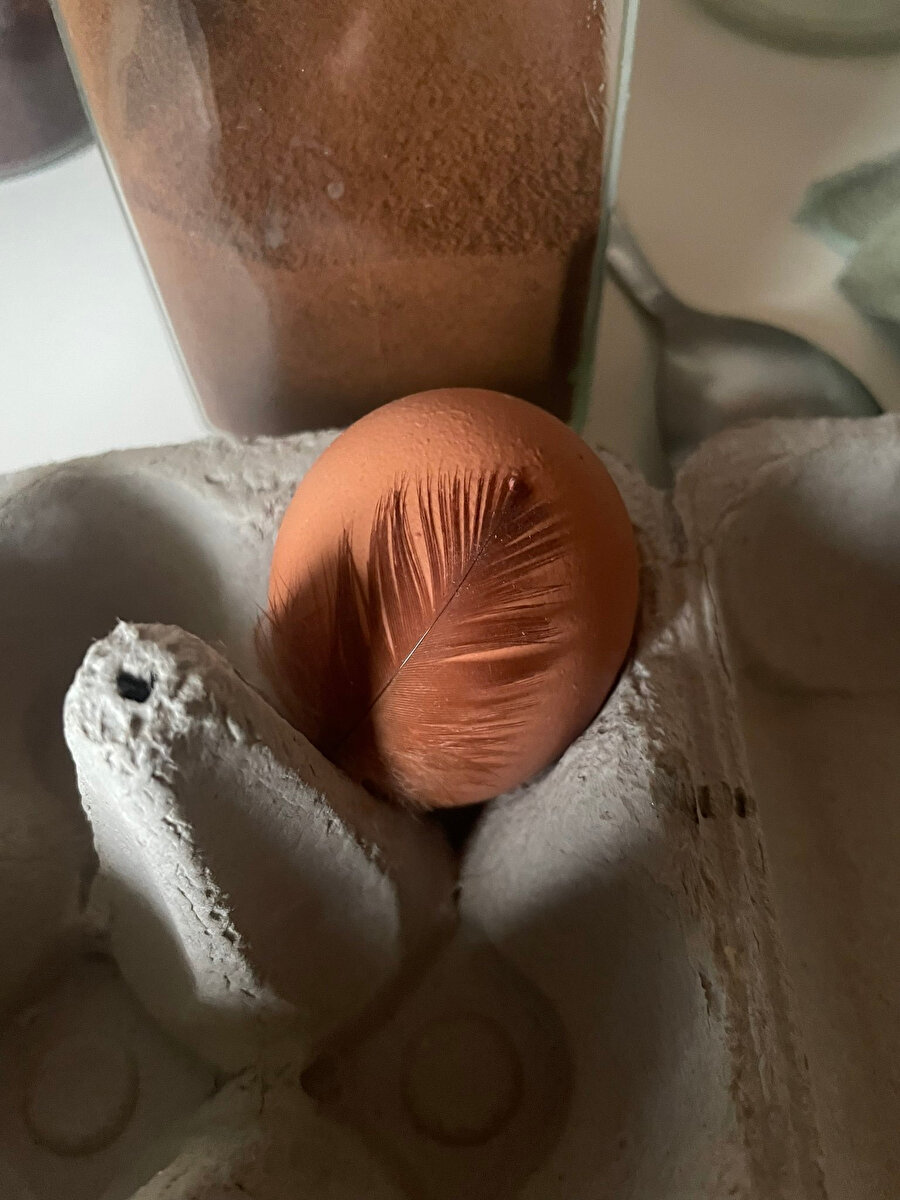 Tamam tamam en organik sensin