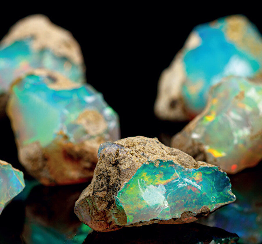 NTE ticareti ve üretimi refaha da katkı sağlayacaktır.