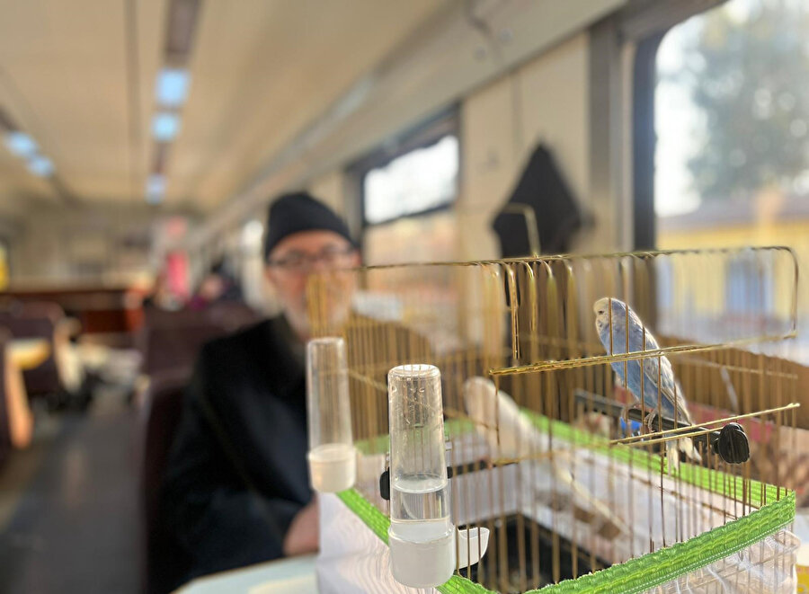 Depremde evindeki her şeyi bırakıp, kuşlarını kurtardılar