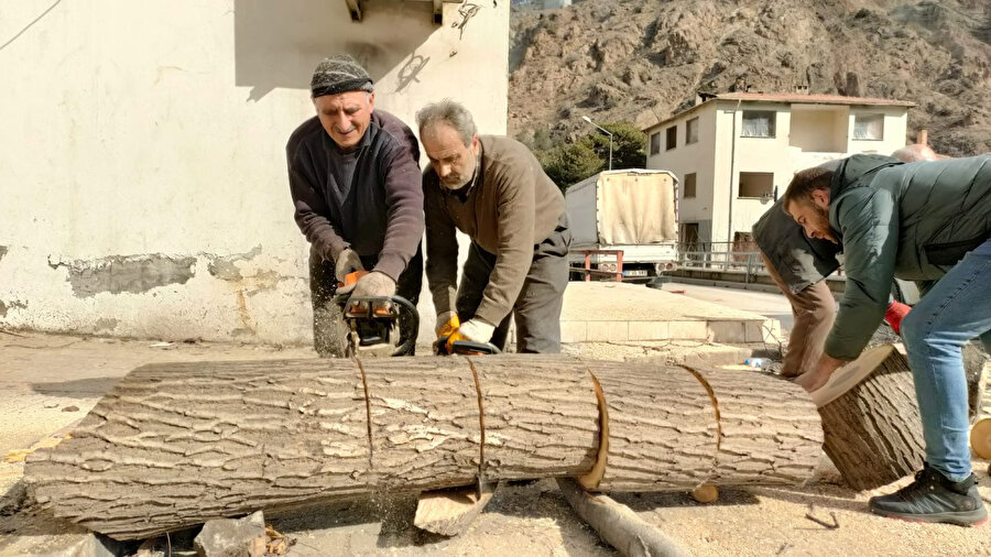 Ağaçlar Yusufeli Barajı ile sular altında kalacaktı: Şimdi depremzedeleri ısıtacak