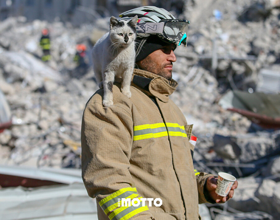 Mardin itfaiyesinin enkazdan kurtardığı kedi: Enkaz