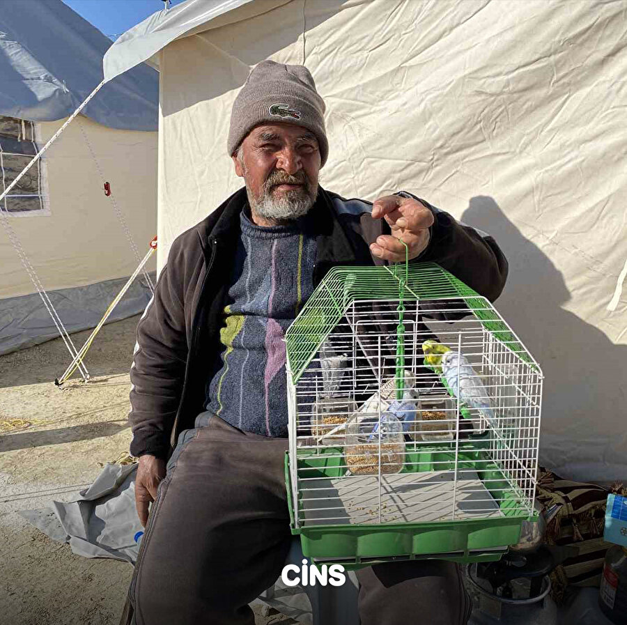 Muhabbet kuşları çadır kentte yaşıyor