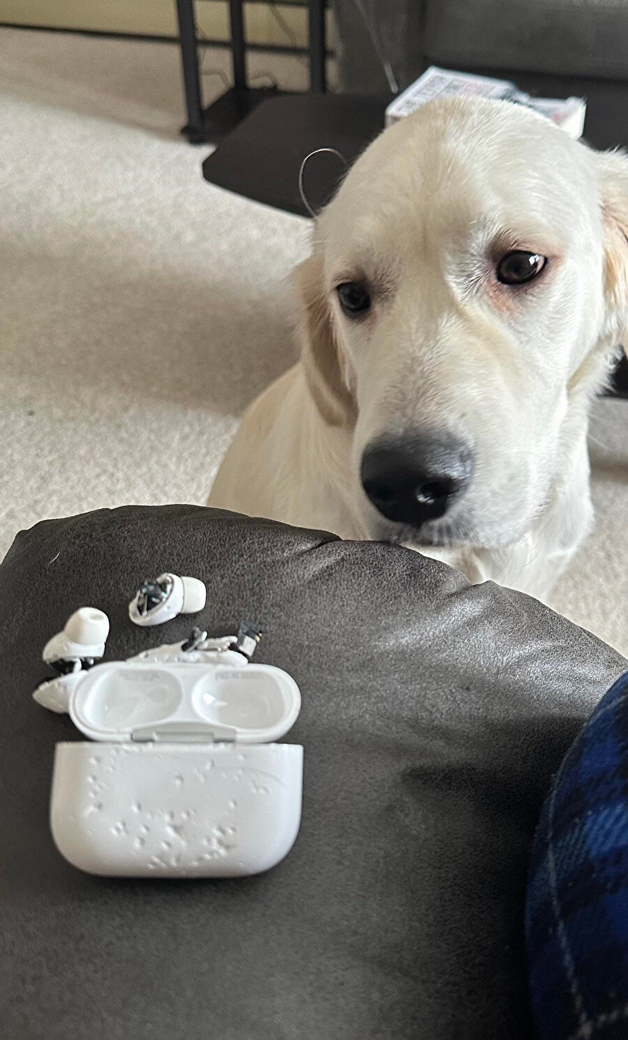 Bahane arayışımın albüm kapağına yansıyan görüntüsü