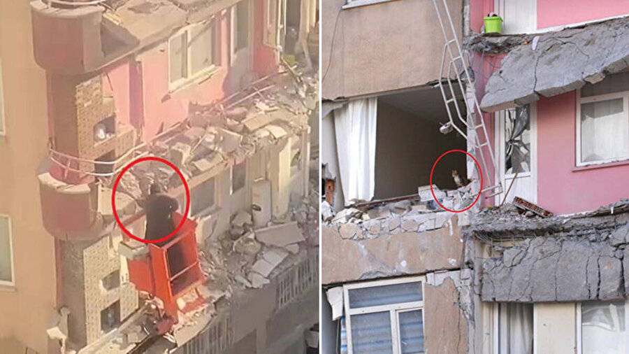 Mahsur kalan kedisi için hasarlı binaya giremeyince vince çıktı