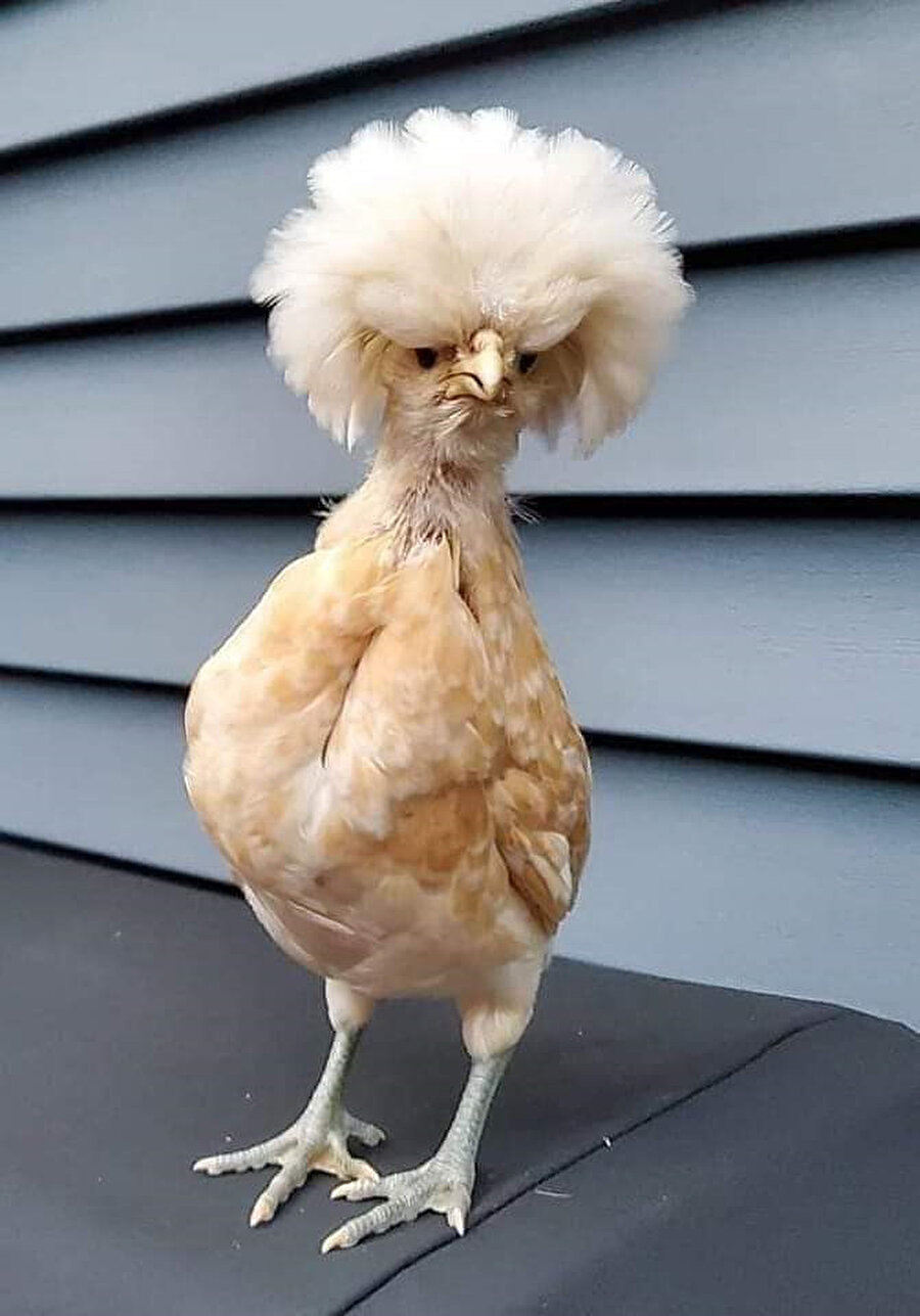 Annem: Uyandı mı güzel kızım?
Ben: