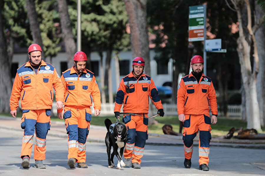 Enkazdan çıkarılan köpek artık hayat kurtaracak