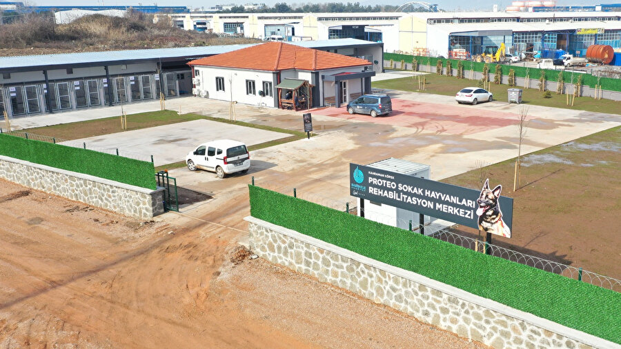 Kahraman kurtarma köpeği 'Proteo'nun adı sokak hayvanları merkezinde yaşayacak