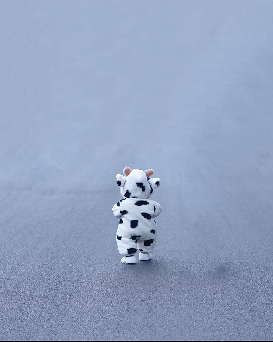 Seni yerim şakasından kaçıyor