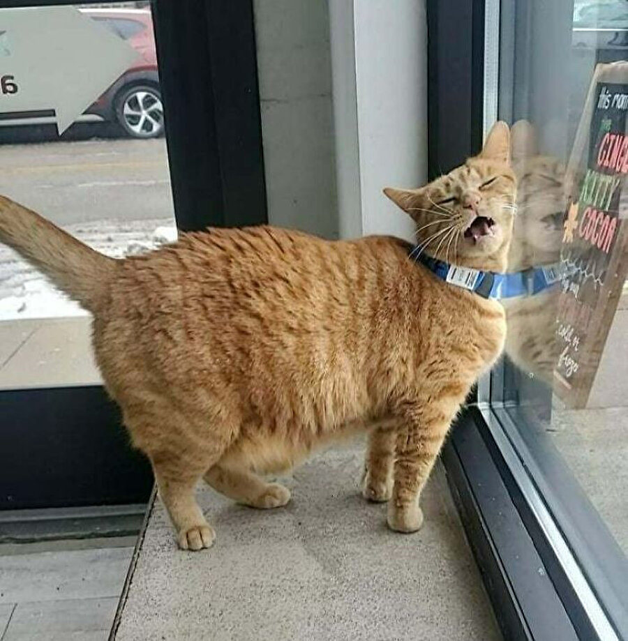 Beni kendi halime bırakın temsili 😄