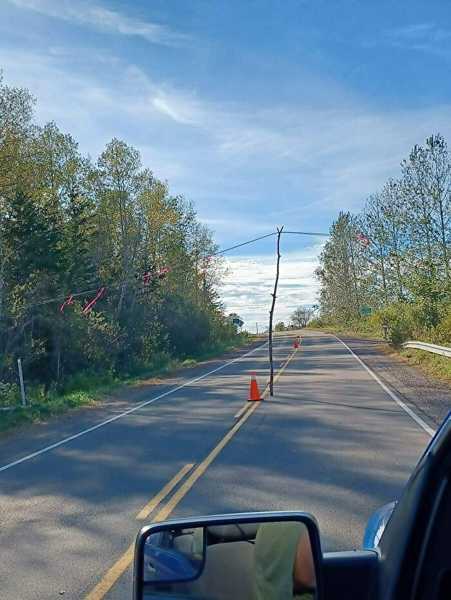 ​Mantıklı gibi 😄