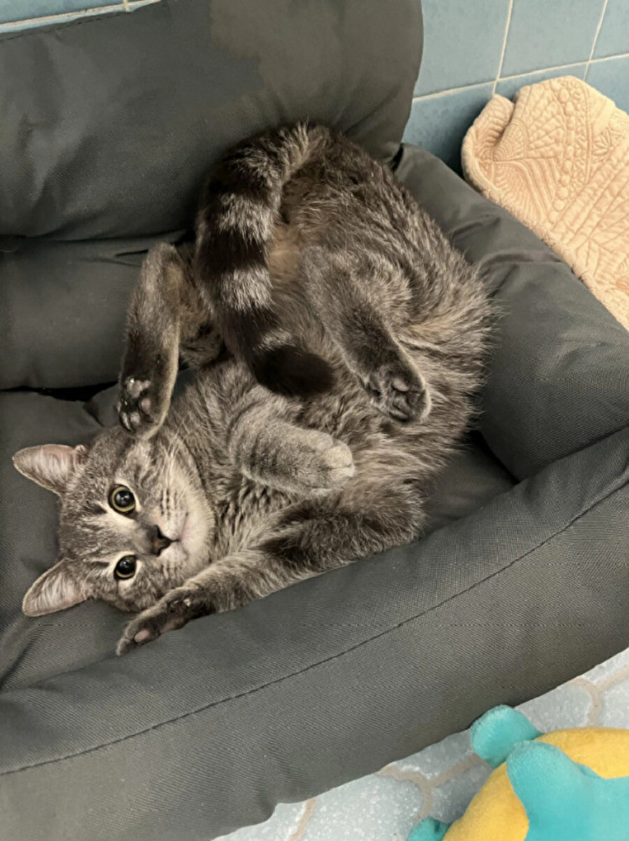 ​Belim neden ağrıyor derken benim oturuş