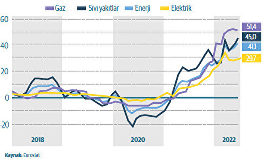 AB'de gaz, sıvı yakıtlar ve enerji bazında aylık enflasyon oranı(%)