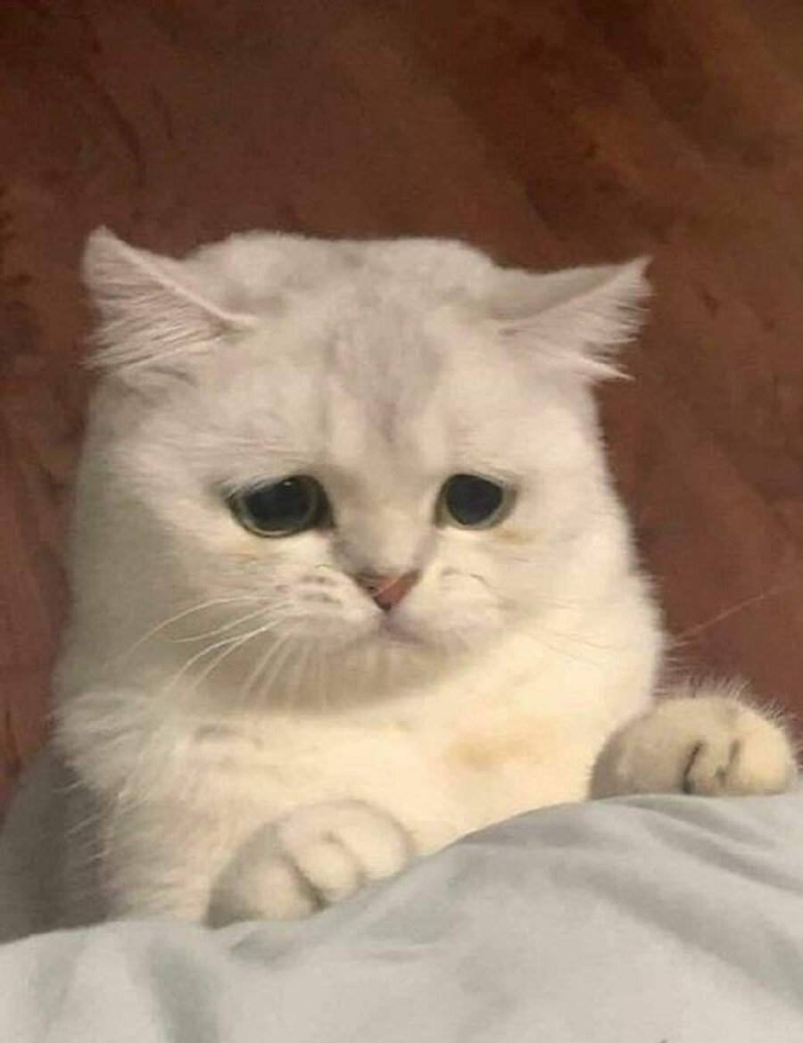 Uzun zamandır modumuz