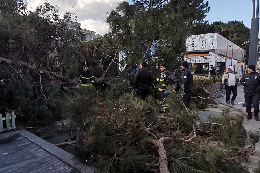 Ordu’da fırtına: Ağaç iş yeri ile otomobilin üstüne devirildi