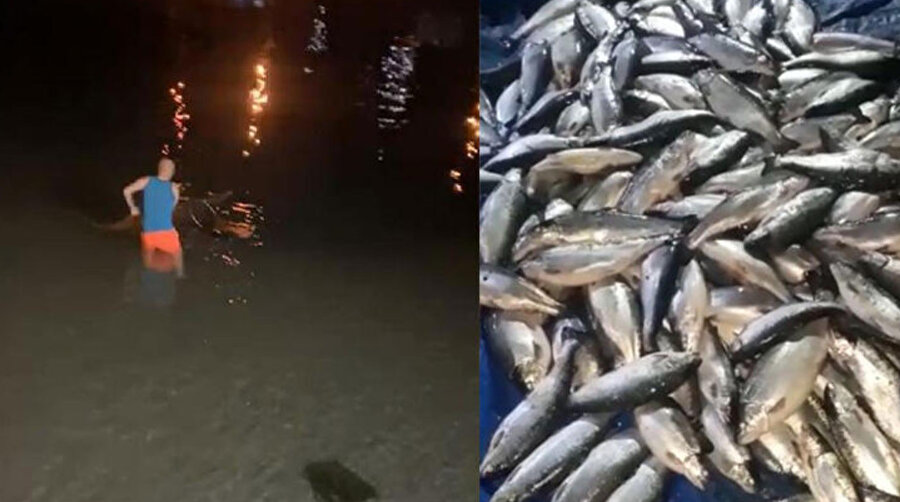 Kafes yırtıldı: Sahil somonla doldu