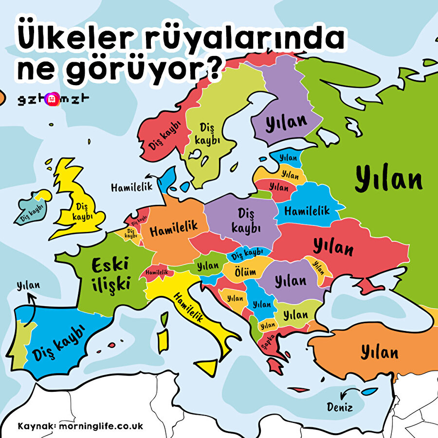 ​Ülkeler rüyalarında ne görüyor?