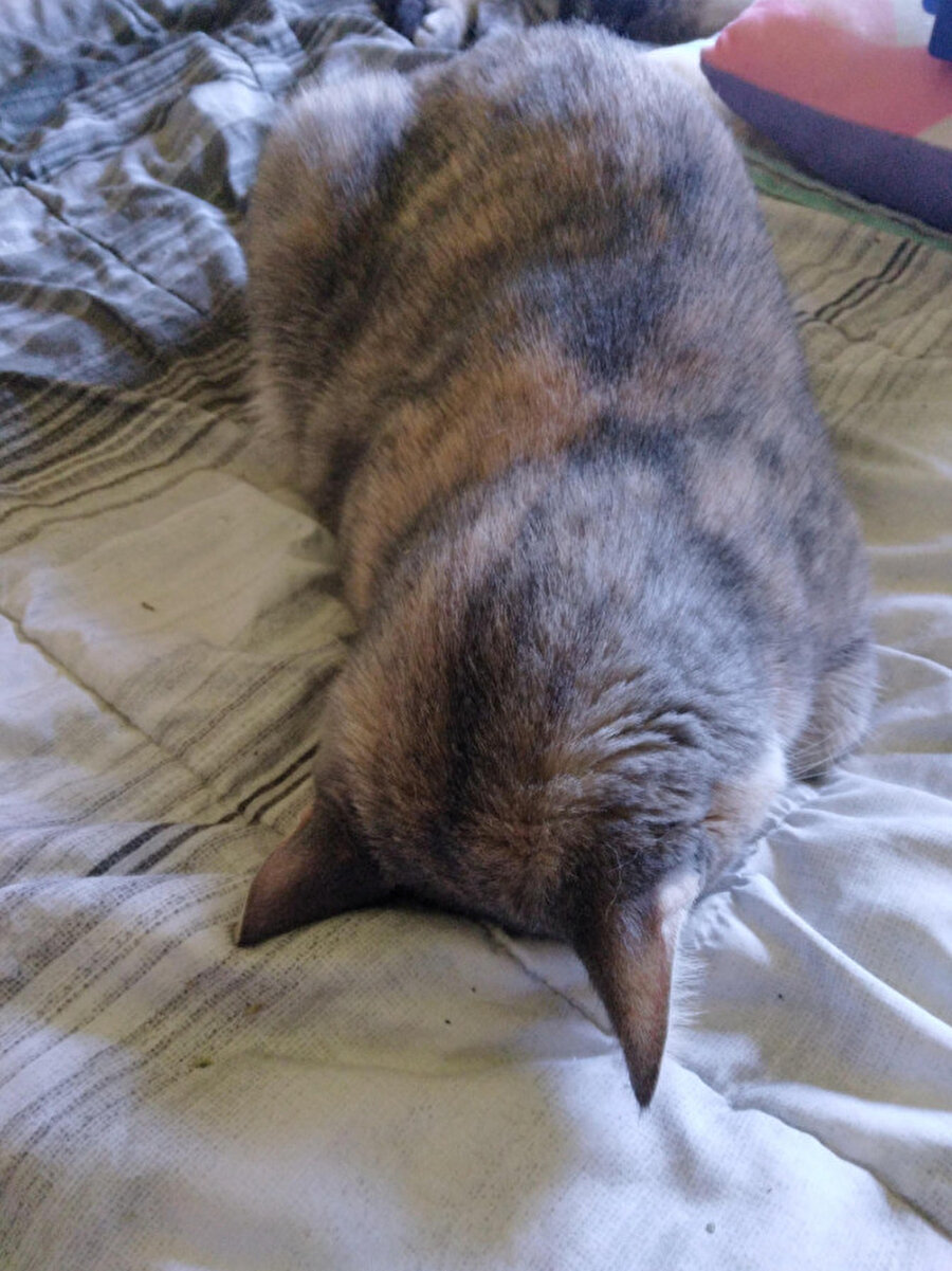 Annem erken uyandırdı​