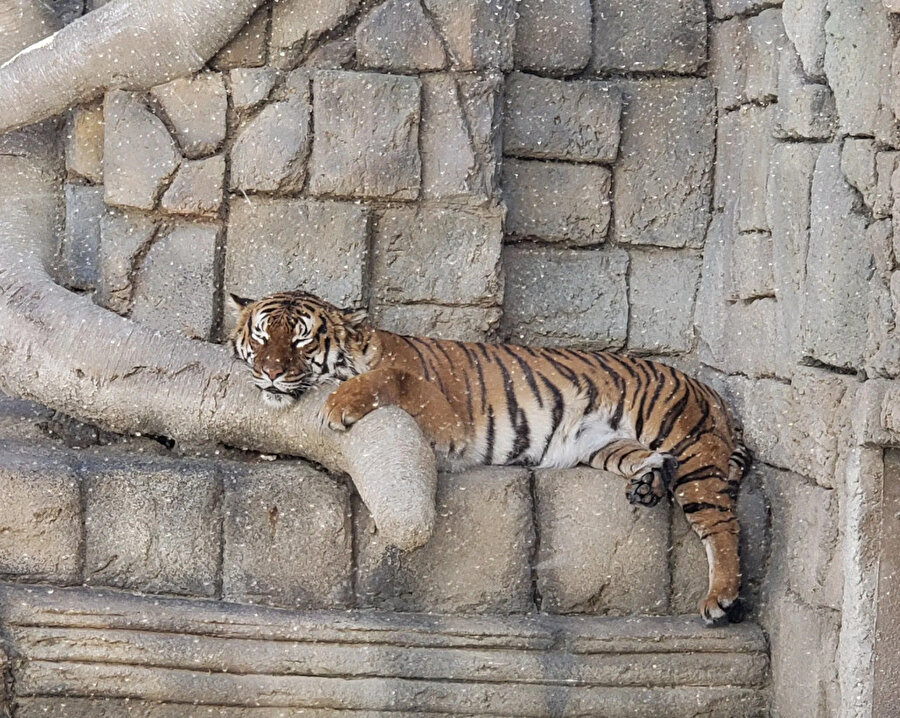 ​Benim hafta sonu planı