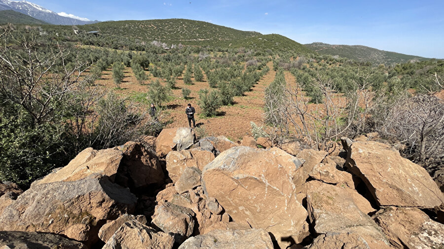 Hatay'da depremler kot farkına neden oldu