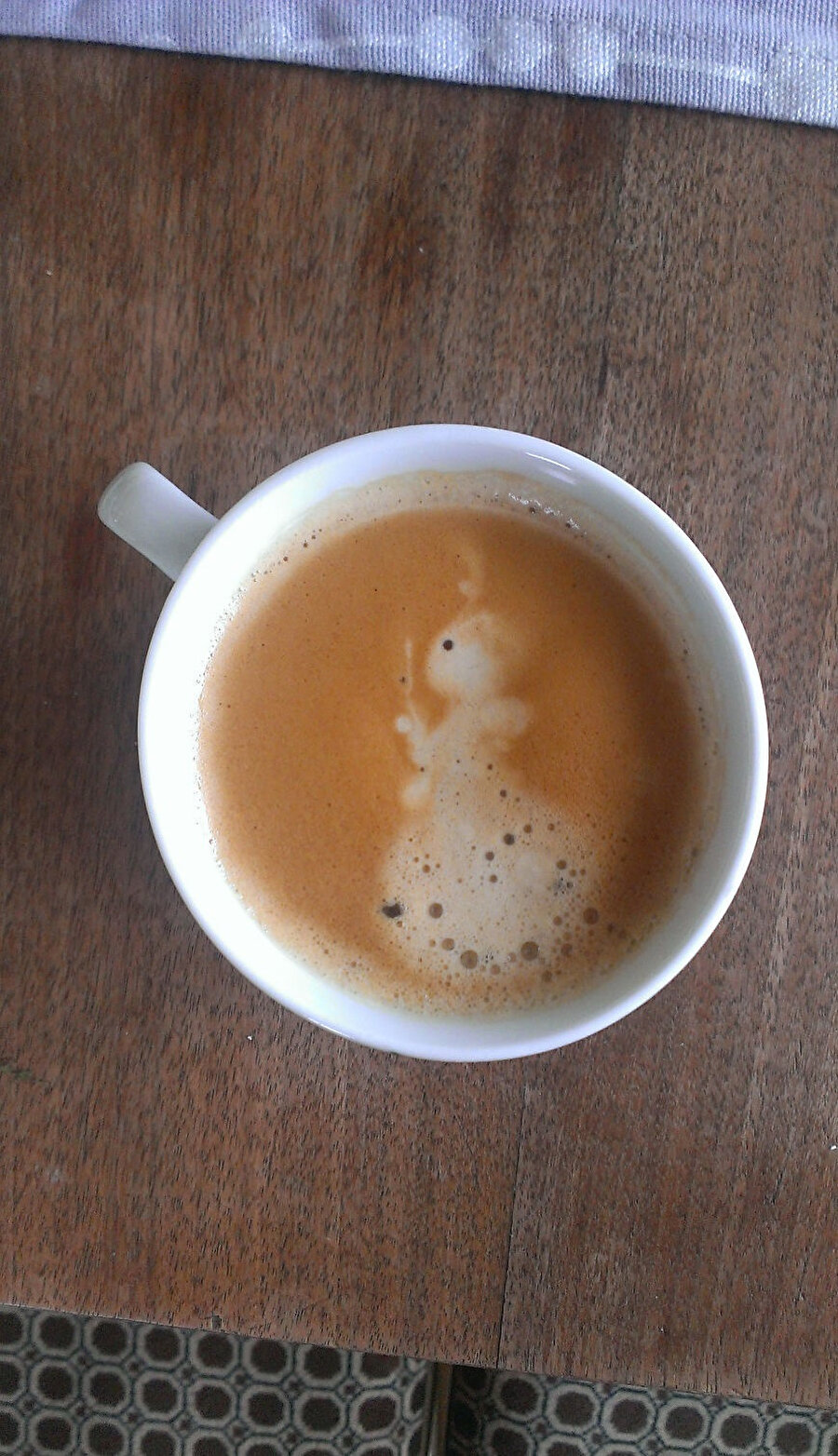 Kedilerin kraliçesine denk geldik 