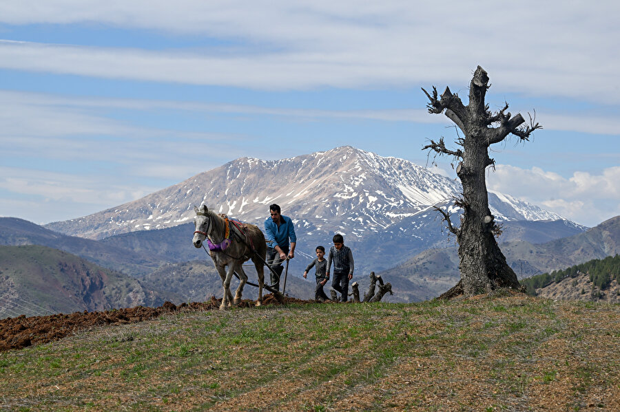 Depremlerden etkilenen Adıyaman'da çiftçiler üretime başladı