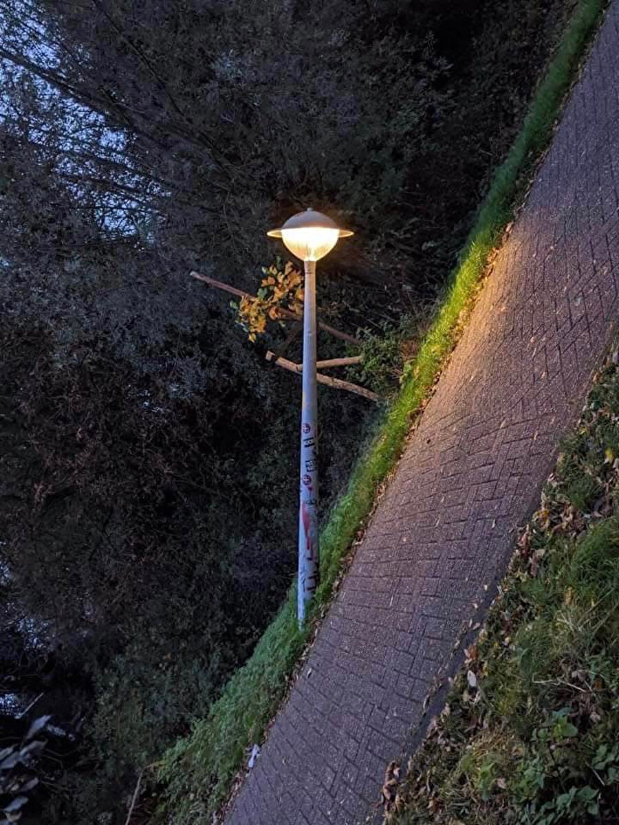 ​Bizim devreler yandı 