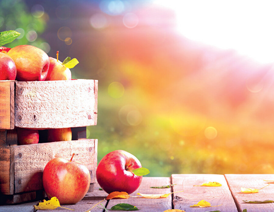 Meyveler, içecek ve baharat bitkileri üretim miktarının 2022 yılında bir önceki yıla göre yüzde 3,8 oranında artarak yaklaşık 25,8 milyon ton olacağı tahmin edildi.