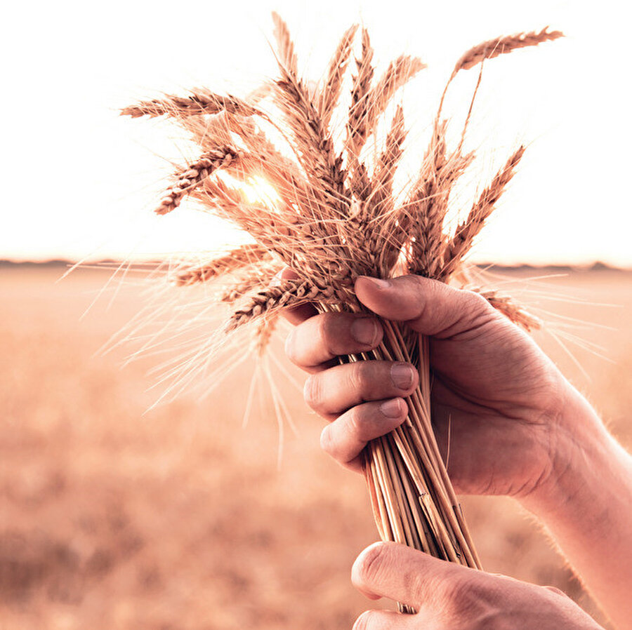 İç piyasada talebin yüksek olması un şirketlerinin ölçeğini artırmasını ve dünya ihracat pazarında rekabetçi olmasını sağlıyor.