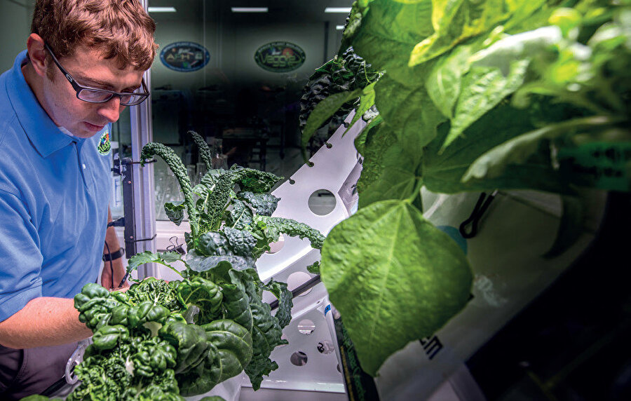 Uluslararası Uzay İstasyonu’ndaki bir astronot için günde yaklaşık 1,8 kilogram yiyecek gerekirken, 4 kişilik mürettebat, üç yıllık Mars görevi gibi uzun vadeli bir yolculukta 10.8 bin kilogram yiyeceğe ihtiyaç duyuluyor.