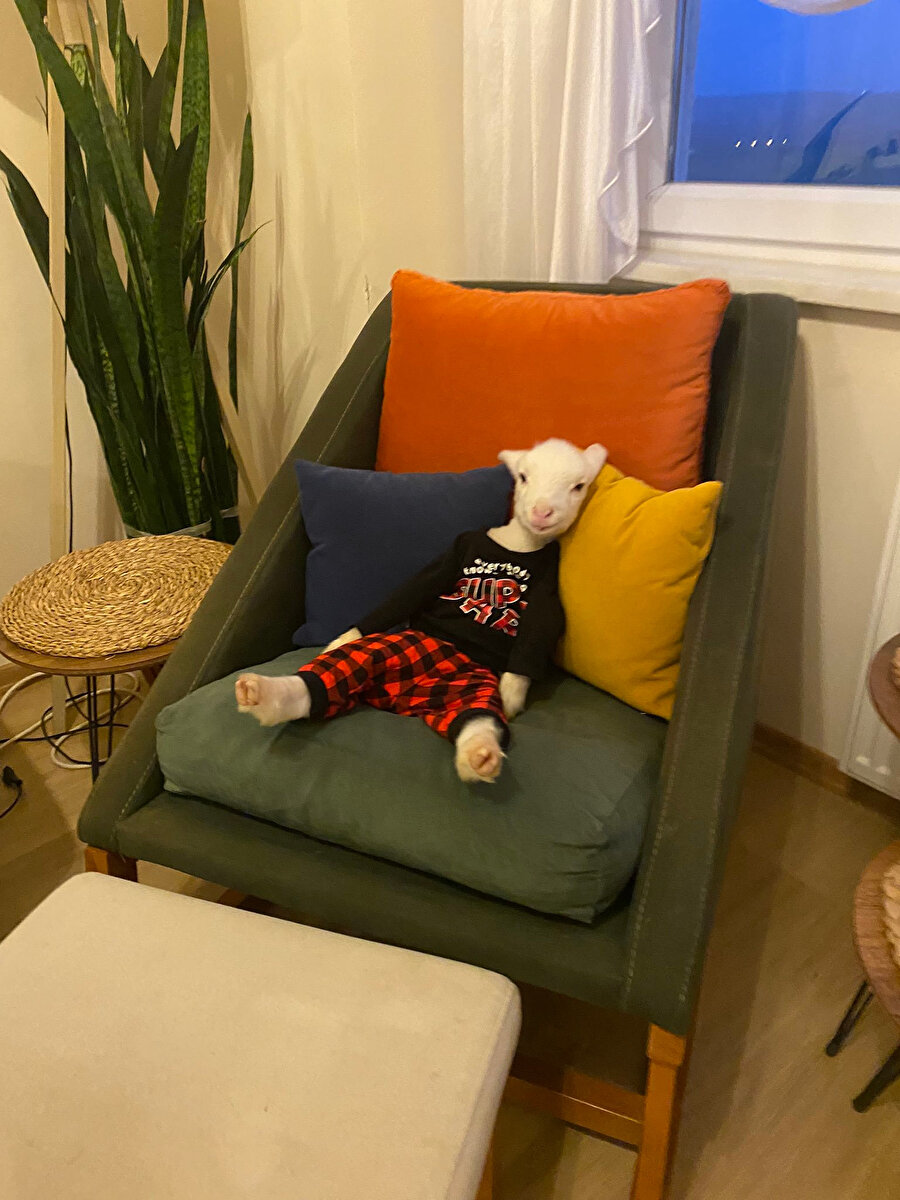 ​Annemin zoruyla güne götürüldüm