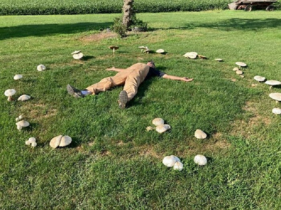 ​Terapi gibi geldi 