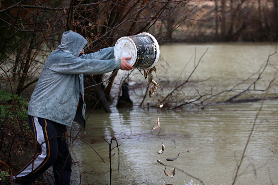 Malatya'da depremzedeler karaya vuran balıkların yaşaması için seferber oldu