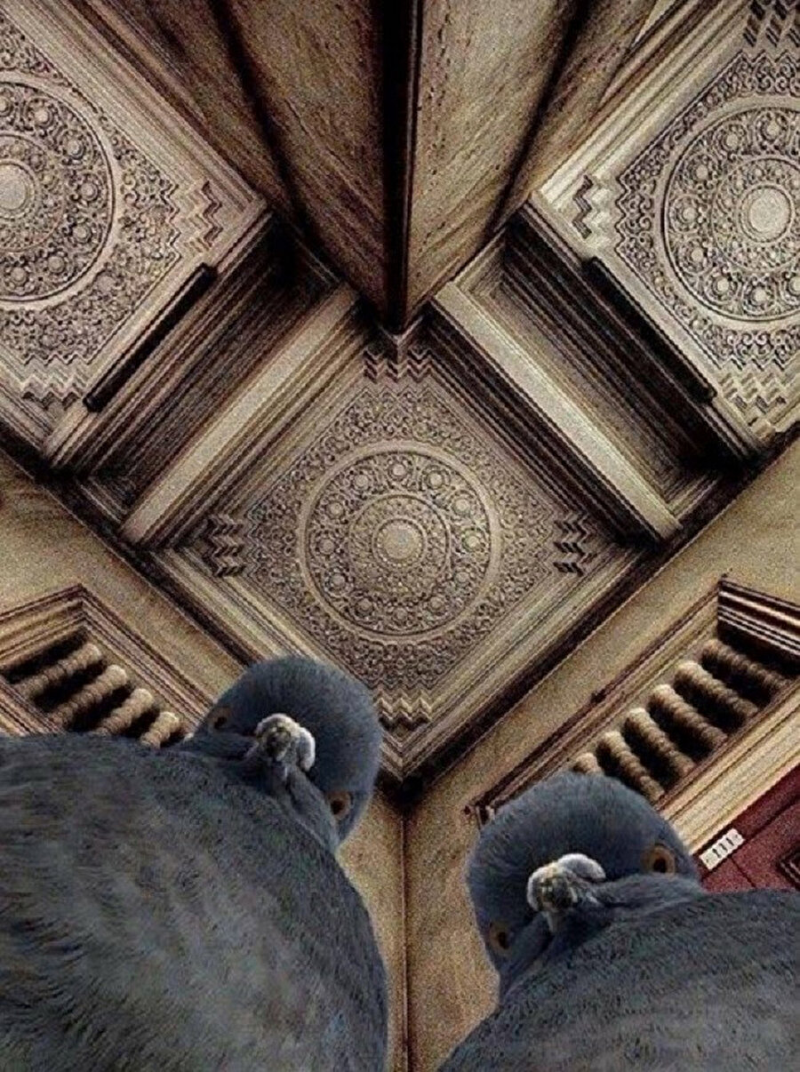 ​Gıdığınız çıkmış bir daha çekinin 😄