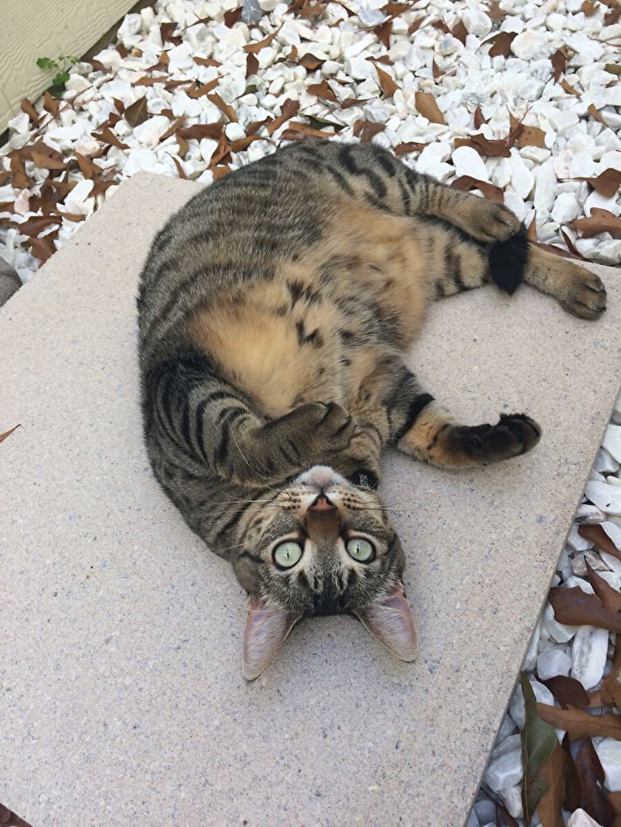 Aynen kanka haklısın 