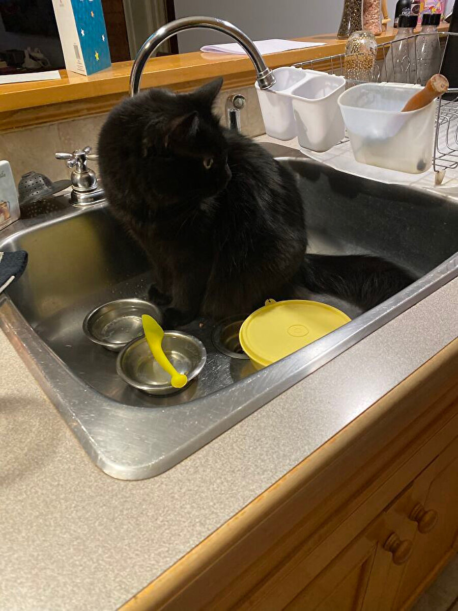 ​Temizlik hastaları çıldırdı 